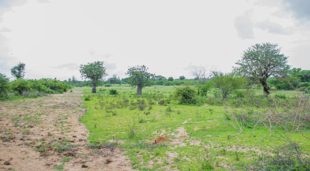 affordable plots for sale in Marereni, Malindi